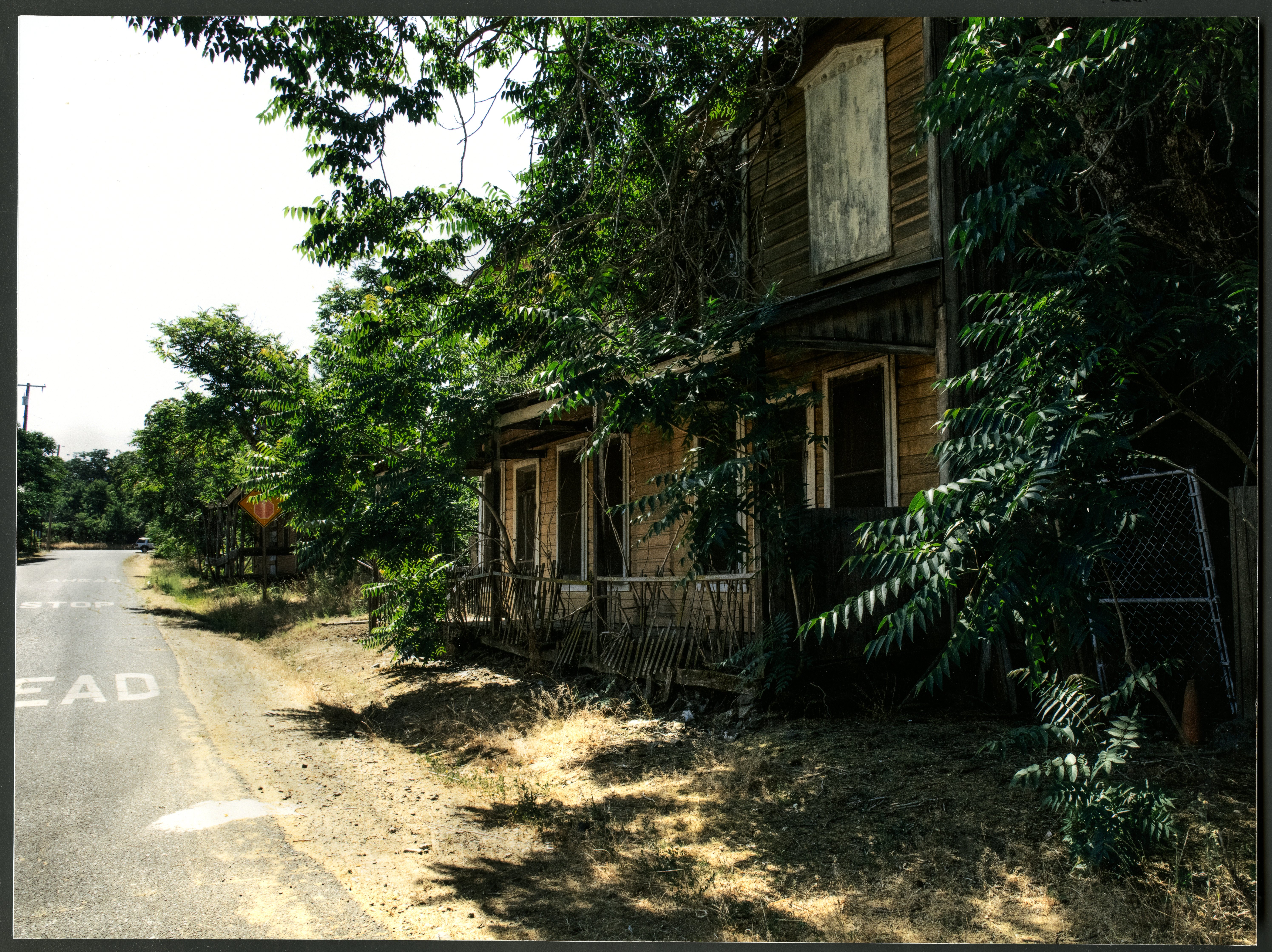 Image 13