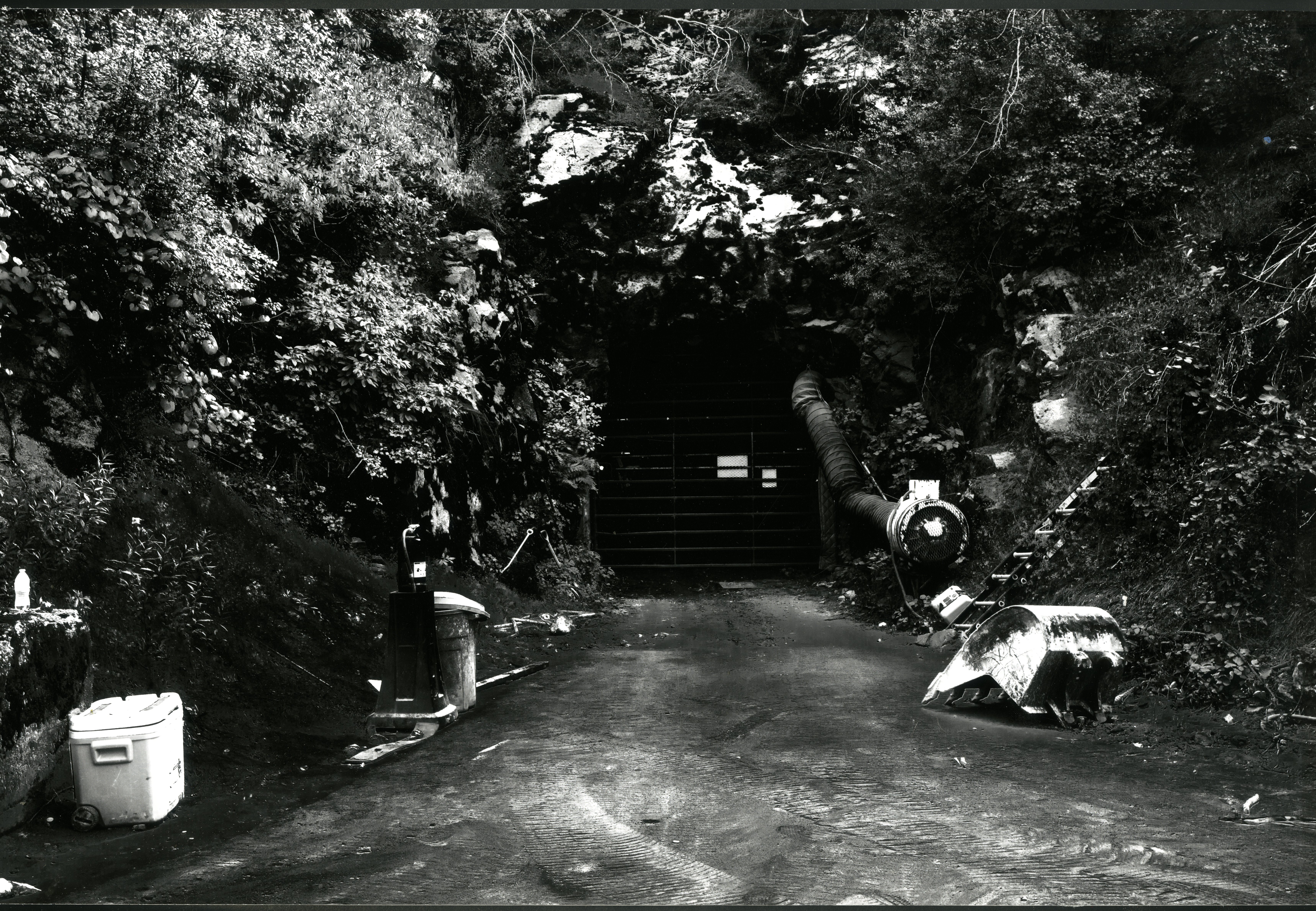 Image 11