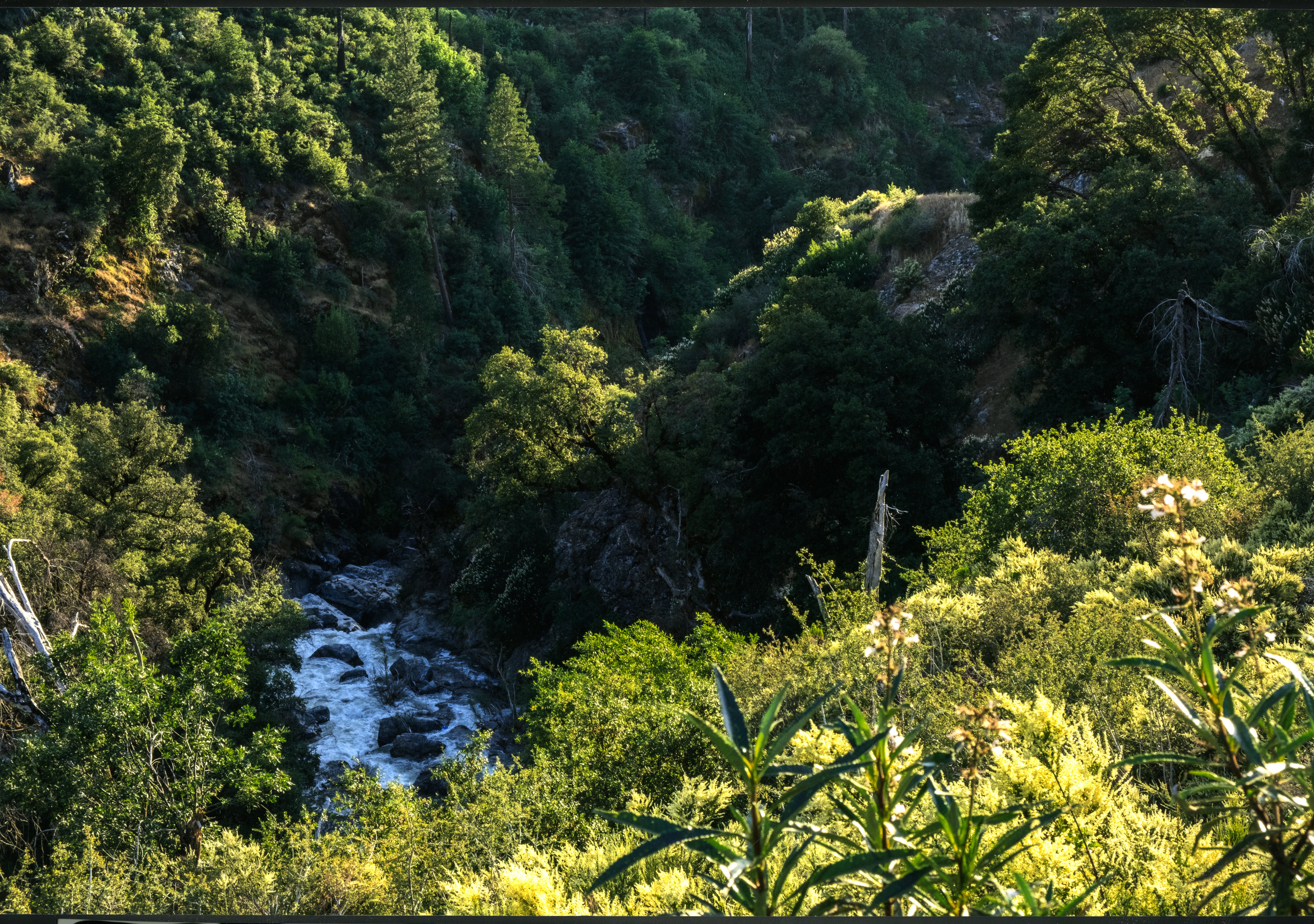 Image 11